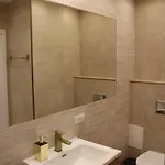 Apartamento White Stone Premium-wałbrzych Książ Parter,6 Osób,parking